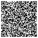 QR code with Problem Solvers contacts