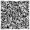 QR code with Carlson Design Group contacts
