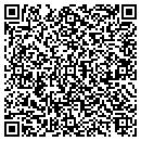 QR code with Cass District Library contacts