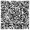 QR code with Teamer Temps contacts