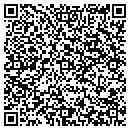 QR code with Pyra Development contacts
