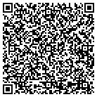 QR code with Blue Water Arts Academy contacts