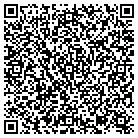 QR code with Bridge Business Systems contacts