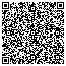 QR code with Progressive Systems contacts