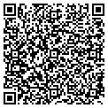 QR code with McSs contacts