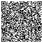 QR code with Blimpie Subs & Salads contacts