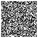 QR code with Concepts & Visions contacts