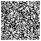 QR code with Blimpie Subs & Salads contacts