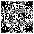 QR code with Pyrenees Consulting contacts