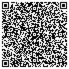 QR code with C C Electro Sales Inc contacts