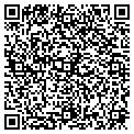 QR code with Lilys contacts