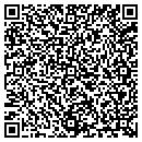 QR code with Proflows Systems contacts