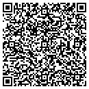 QR code with Premier Components contacts