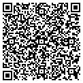 QR code with Strive contacts