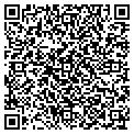 QR code with Cygnus contacts