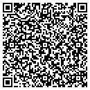 QR code with Problem Solutions contacts
