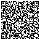QR code with Blue Lakes Painting Co contacts
