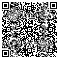 QR code with APEX contacts