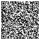 QR code with Public Library contacts