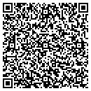 QR code with Bailey-PVS Oxides LLC contacts