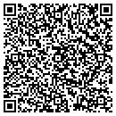 QR code with Public Image contacts