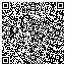 QR code with Carousel Auto Wash contacts
