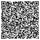 QR code with Baldwin Ace Hardware contacts