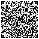 QR code with Primitive Images contacts