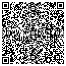 QR code with Process Systems Inc contacts