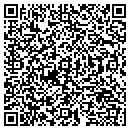 QR code with Pure It Corp contacts