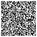 QR code with Purple Leopard Video contacts