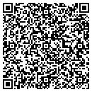QR code with Premier Homes contacts