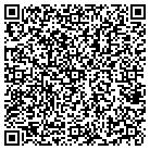 QR code with Pzs Nolwood Chemical Inc contacts