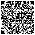 QR code with Shapes contacts