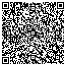 QR code with Cindys Tax Consultant contacts