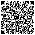 QR code with Bashas contacts