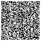 QR code with Blimpie Subs & Salads contacts