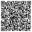 QR code with Servis contacts