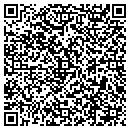 QR code with Y M C A contacts