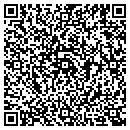 QR code with Precise Tool Sales contacts