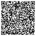 QR code with V F W contacts