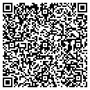 QR code with PT Works Inc contacts