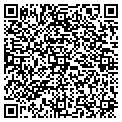 QR code with Attic contacts