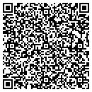 QR code with Telematicstech contacts