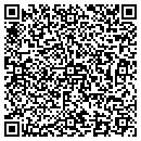 QR code with Caputo Jan PHD Psyd contacts
