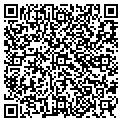 QR code with R Gang contacts