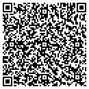 QR code with Carl's Auto Interiors contacts