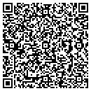 QR code with Project Clay contacts
