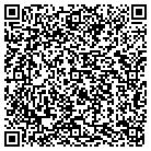 QR code with Pulver Construction Inc contacts