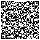 QR code with Provider Technologies contacts